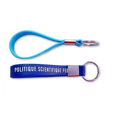 100% のシリコーンのペンダント昇進の Keychain の金属の付属品、Pantone 色