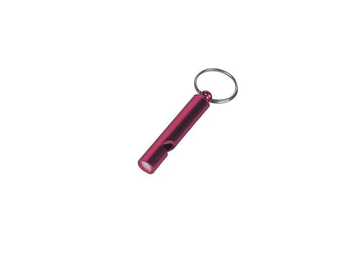 鋼線は、アルミニウム笛色のキー ホルダー/昇進の Keychains 30572 をカスタマイズしました